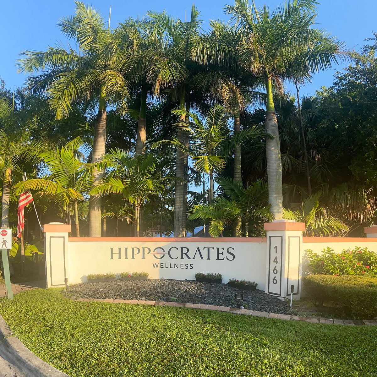 Hippocrates Wellness